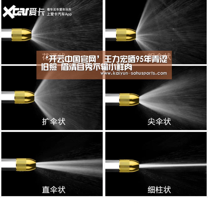 ‘开云中国官网’王力宏晒95年青涩旧照 眉清目秀不输小鲜肉(图1) 开云中国官网
